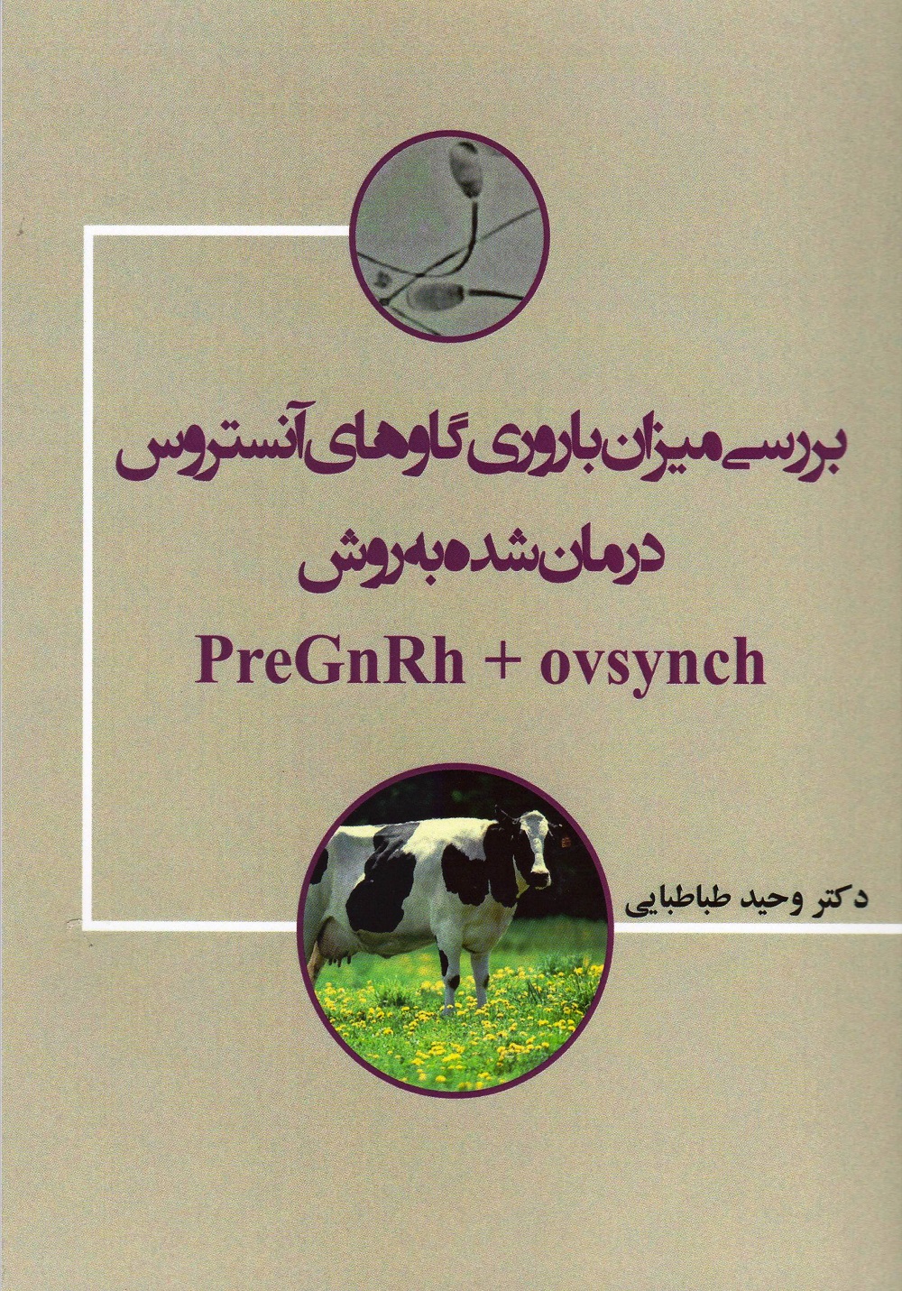 بررسی میزان باروری گاوهای آنستروس درمان شده به روش PreGnRh+ovsynch